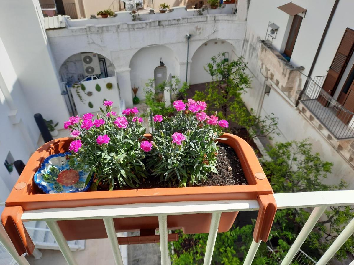 B&B Ninedda Monopoli Dış mekan fotoğraf